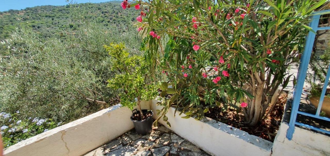 Maison Charme Avec Piscine Privee, Pres De La Mer A Sappounakeika, Tyros Sapounakeika Exterior foto